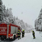 ABD0080-20201208.jpg