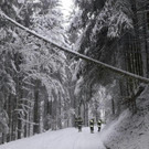 ABD0076-20201208.jpg