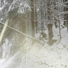 ABD0075-20201208.jpg