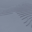 ABD0007-20201208.jpg