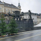 ABD0110-20201207.jpg