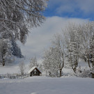Furx 071220_2.JPG