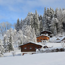 Furx 071220_4.JPG