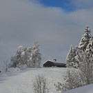 Furx 071220_5.JPG