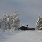 Furx 071220_7.JPG