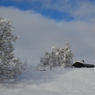 Furx 071220_8.JPG
