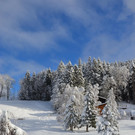 Furx 071220_16.JPG