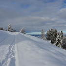 Furx 071220_19.JPG