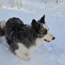 Furx 071220_21.JPG