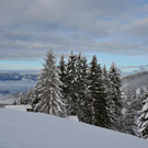 Furx 071220_24.JPG