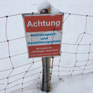 Klaus - Hundesportplatz 12 - Mirjam Mayer - VOL_AT.jpg