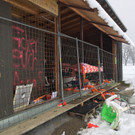 Klaus - Hundesportplatz 4 - Mirjam Mayer - VOL_AT.jpg