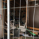Klaus - Hundesportplatz 1 - Mirjam Mayer - VOL_AT.jpg