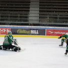 DSC08168.JPG