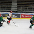 DSC08169.JPG