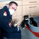 IMG_20201213_125603.jpg