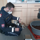 IMG-20201213-WA0013.jpg