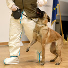 ABD0074-20201214.jpg