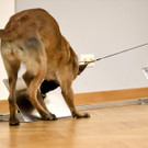 ABD0067-20201214.jpg