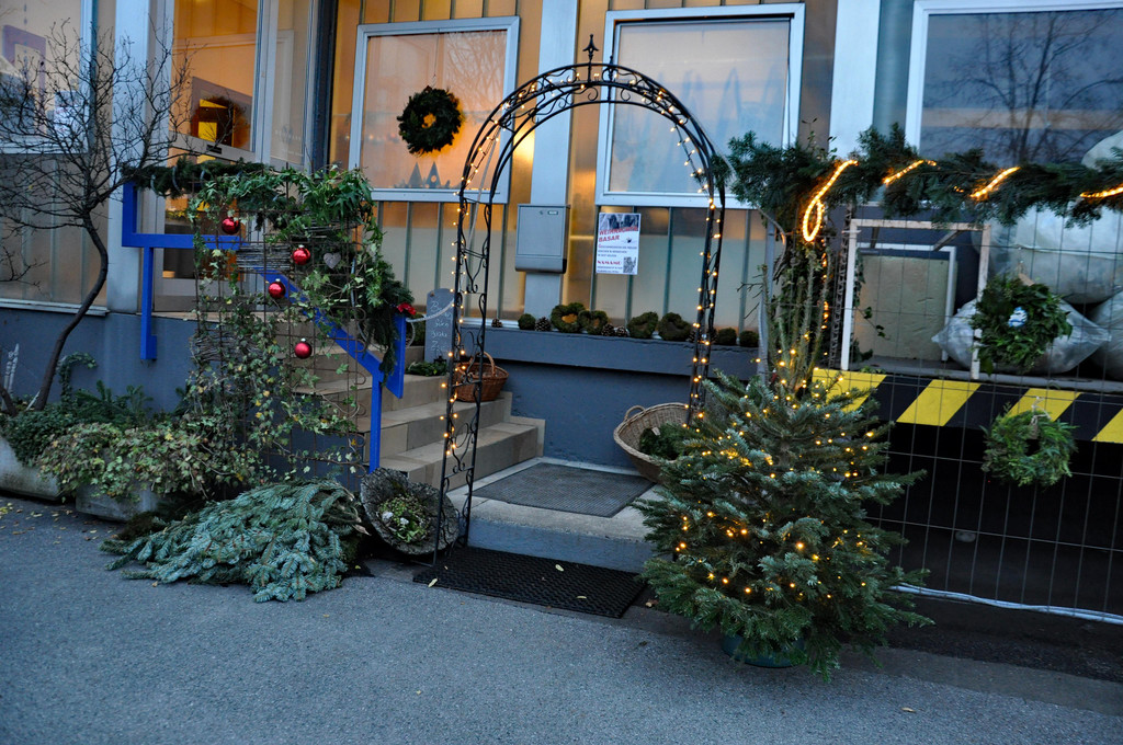 DSC_0026.JPG