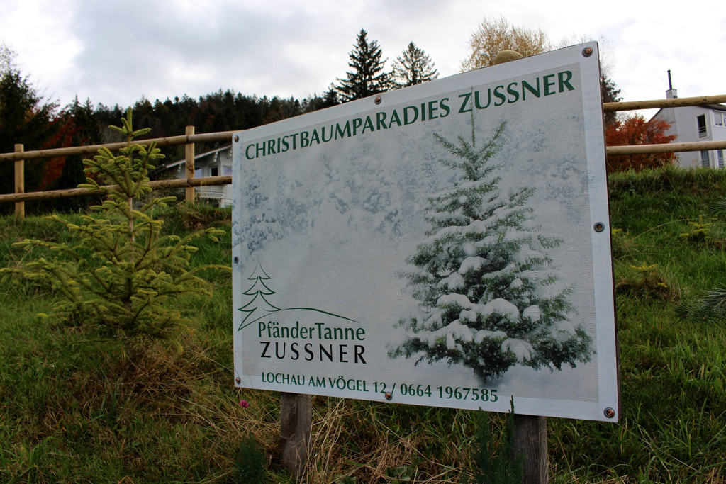Zu__ner WERBUNG CHRISTBAUMPARADIES Tafel November 2020 _1_.JPG