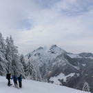 IMG_1954a.jpg