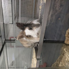 2020-12-17-5kaninchen_44-jpg.jpg