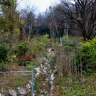 Wellenaugraben Bachverbauung A ROHRDURCHSTOSS Vortrieb 18-11-2020 _17_.JPG