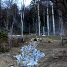 Wellenaugraben Bachverbauung C Start M__rz 2019 _1_.JPG