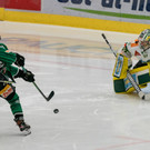 file7dp9eif92o88rlmlim2 - Kopie.jpeg