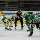 DSC07944.JPG