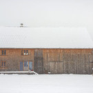 _T1A5567.jpg