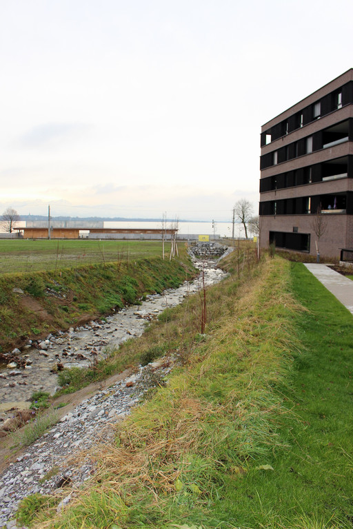 AA Kugelbeerbach Hochwasserschutz Weg und Br__cke BF B G 11-12-2020 _8_.JPG