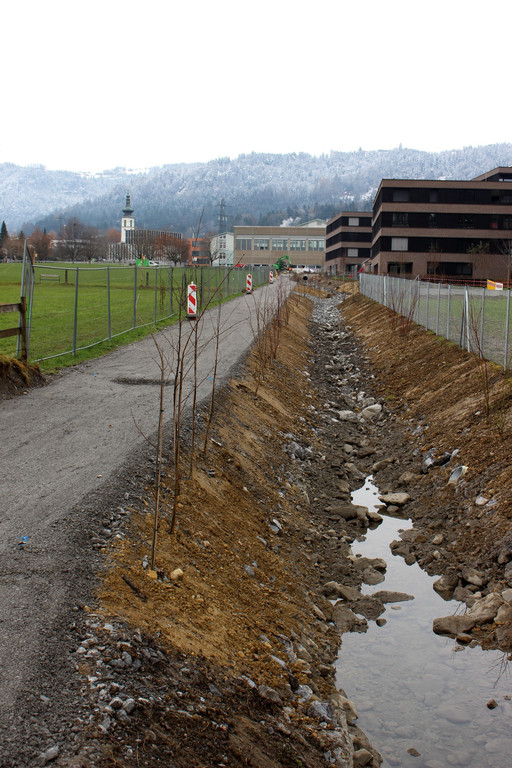 BB Oberlochauerbach Hochwasserschutz Weg und Bachbett BF B F 11-12-2020 _3_.JPG