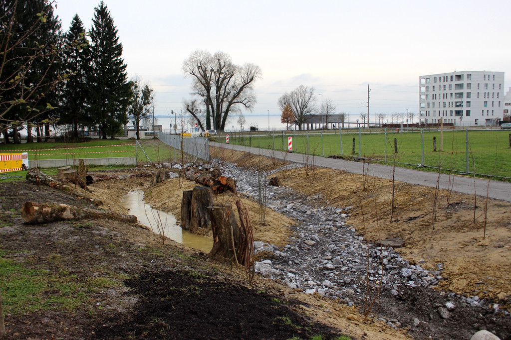 BB Oberlochauerbach Hochwasserschutz Weg und Bachbett BF B F 11-12-2020 _4_.JPG