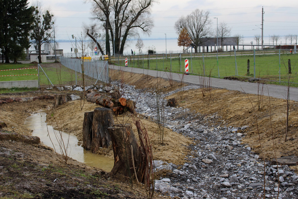 BB Oberlochauerbach Hochwasserschutz Weg und Bachbett BF B F 11-12-2020 _5_.JPG