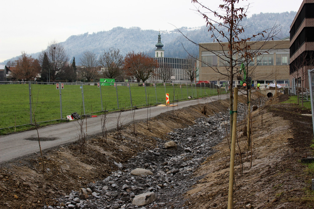 BB Oberlochauerbach Hochwasserschutz Weg und Bachbett BF B F 11-12-2020 _6_.JPG