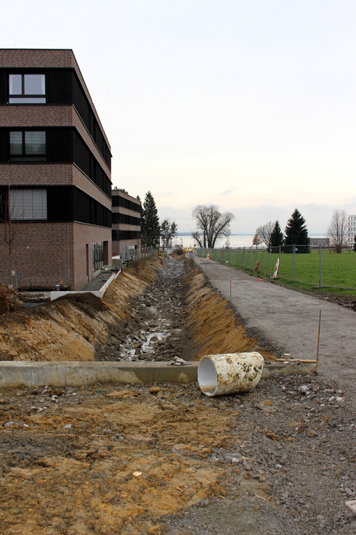 BB Oberlochauerbach Hochwasserschutz Weg und Bachbett BF B F 11-12-2020 _9_.JPG