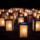 lights-1088141_1920.jpg