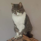 20201227_205456.jpg