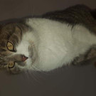 20201227_205436.jpg