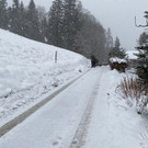 image00009.jpeg
