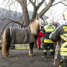 Feldkirch: Frau aus Kutsche geschleudert