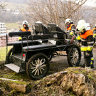VU Feldk_PferdekutscheHaldenweg35.JPG