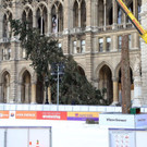 Christbaum am Rathausplatz gefällt