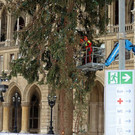 ABD0015-20210107.jpg