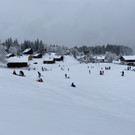 image00005.jpeg