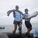 Indonesia_Plane_Crash_26726.jpg