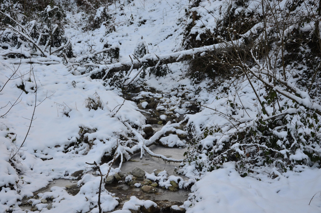 Wanderung 090121_1.JPG