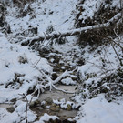 Winterwanderung in Zwischenwasser